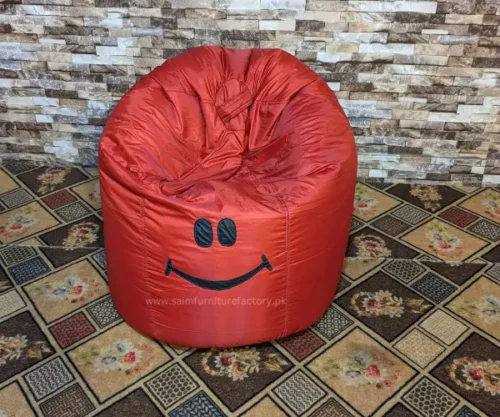 Bean Bag Adult